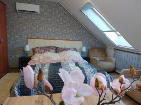 Summer House Apartman